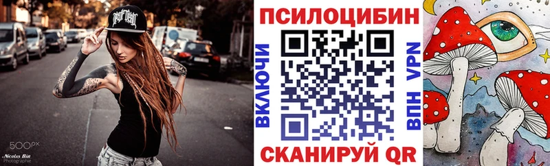 Галлюциногенные грибы Psilocybe  mega маркетплейс  Сольвычегодск 